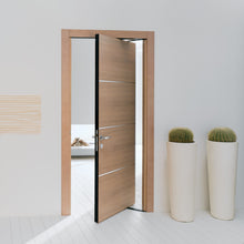 Load image into Gallery viewer, ergon living te space saving slide and swing door