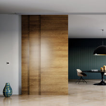 Load image into Gallery viewer, T-BELT - New Telescopic System for Multiple Doors